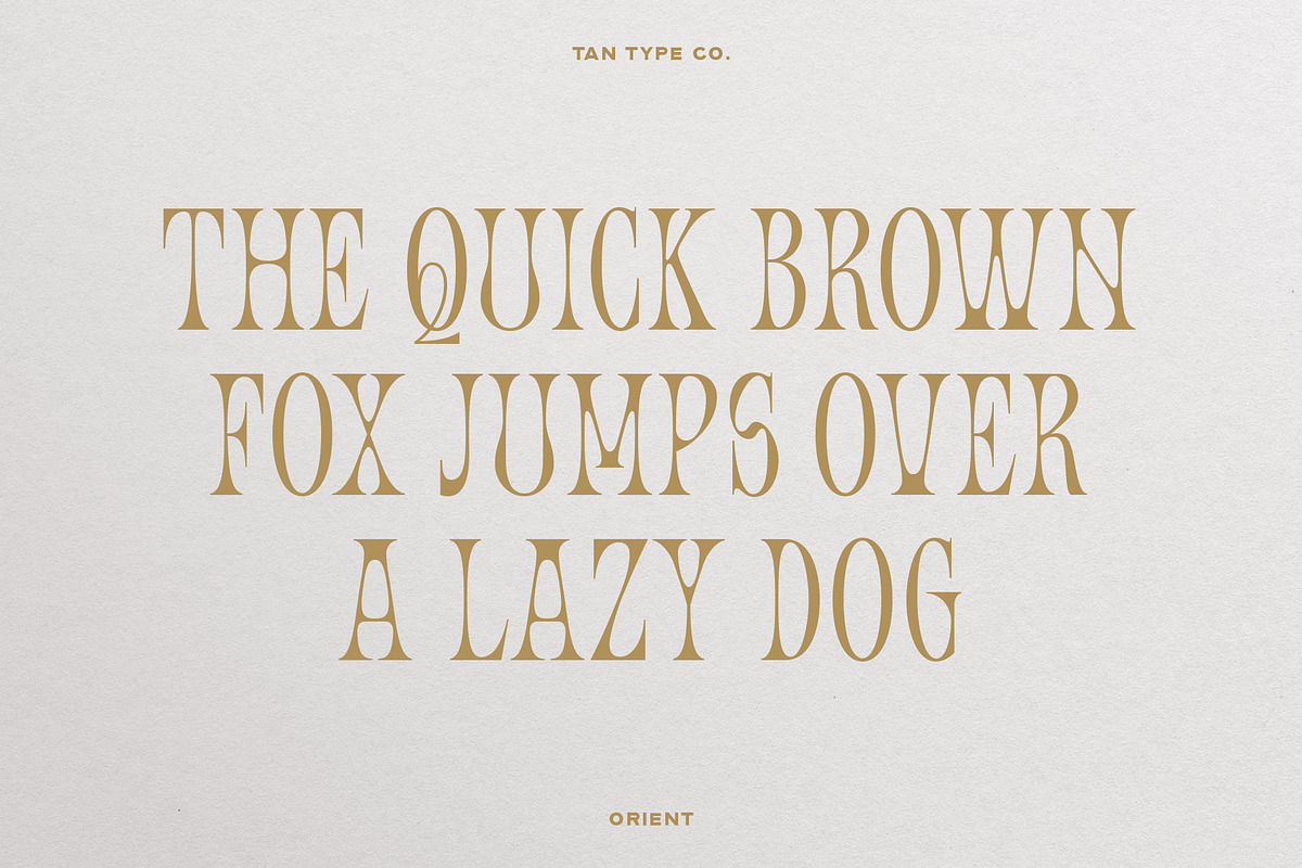 TAN - ORIENT, a Serif Font by TanType (Photo 8 of 11)