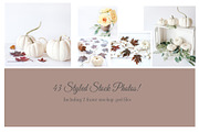 Fall Color Bundle Stock Photos, a Background Photo by SunnyTangerine Stock (Thumbnail 9 of 10)