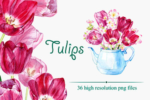Tulips