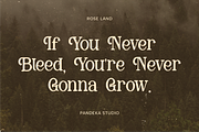 Rose Land - Elegant Handmade Serif, a Serif Font by Pandeka Studio (Thumbnail 3 of 9)