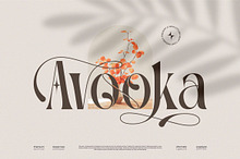 Avooka || Modern Serif Font