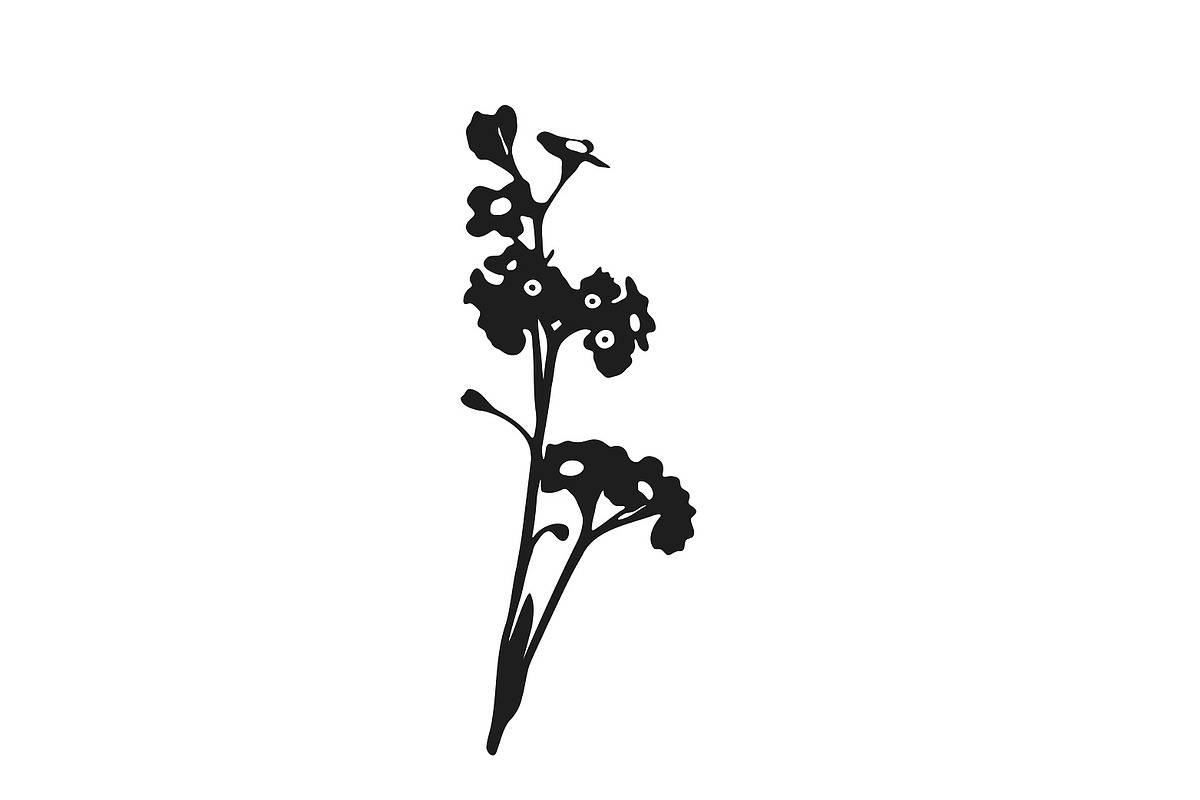 Botanical bundle - svg, png, a Decorative Illustration by Watercolor_Vector Graphic (Photo 21 of 26)