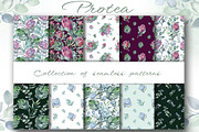 PROTEA watercolor flowers clipart, an Illustration by LenArt (Thumbnail 9 of 16)