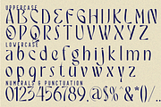 RESEARCH ASSOCIATE - LUXURY FONT, a Sans Serif Font by 177Studio (Thumbnail 8 of 8)