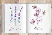 Lavender and cotton watercolor set, a Decorative Illustration by artabramova (Thumbnail 10 of 10)