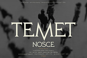 Temet Nosce - Serif font family, a Serif Font by Artistic & Unique (Thumbnail 1 of 15)