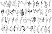 Leaves SVG, PNG, DXF, pdf, eps files, a Decorative Illustration by DamriNa art (Thumbnail 2 of 5)