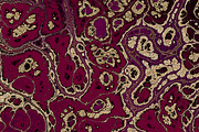 20 burgundy marble textures 64 mp, a Texture Graphic by tkdesign (Thumbnail 6 of 21)