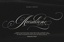 Auraliene Script Pro
