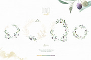 Olives. Watercolor Collection, a Decorative Illustration by OctopusArtis (Thumbnail 9 of 17)