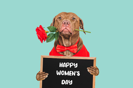 Happy Women's Day. Cute dog and congratulatory inscription