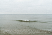Almond | Sans Serif Font, a Sans Serif Font by rose & co. creative (Thumbnail 3 of 17)