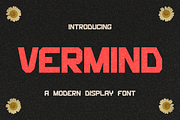 Vermind Display Modern Typeface, a Sans Serif Font by ZAL STUDIO (Thumbnail 1 of 8)