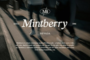 Carmine Raysford | Nostalgic Serif, a Serif Font by Fargun Studio (Thumbnail 4 of 27)