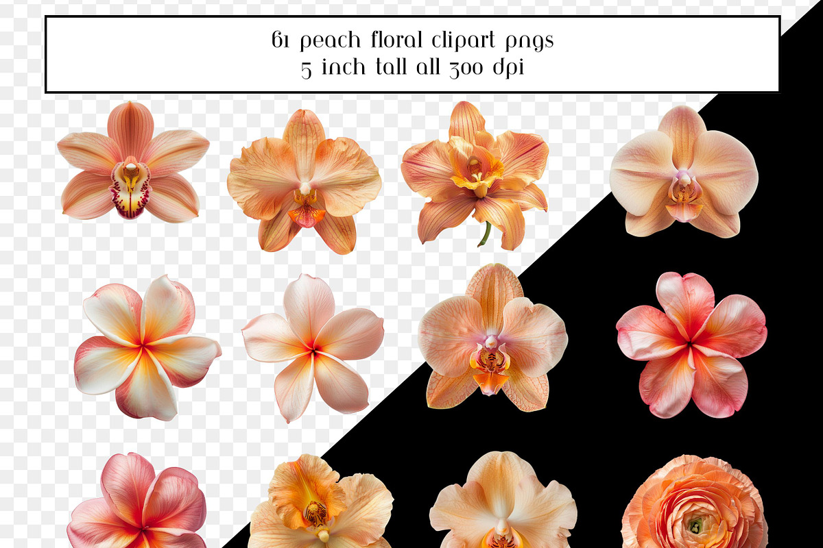 Peach Floral Clipart, Peach Flowers, an Object Graphic by AllTheKewtClipart (Photo 2 of 5)
