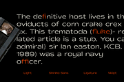 Shinko Sans | Humanist Wide Font, a Sans Serif Font by Jolicia Type (Thumbnail 6 of 17)