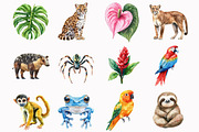 Rainforest Animals Clipart, an Illustration by Design Market (Thumbnail 2 of 5)