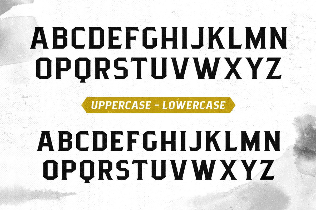 Pittsbrook Serif preview 2