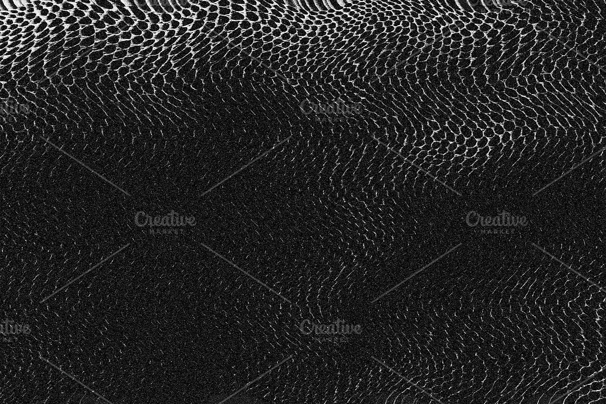 Scales and Fur, a Texture Graphic by Jennifer Lauren Creative (Photo 5 of 26)