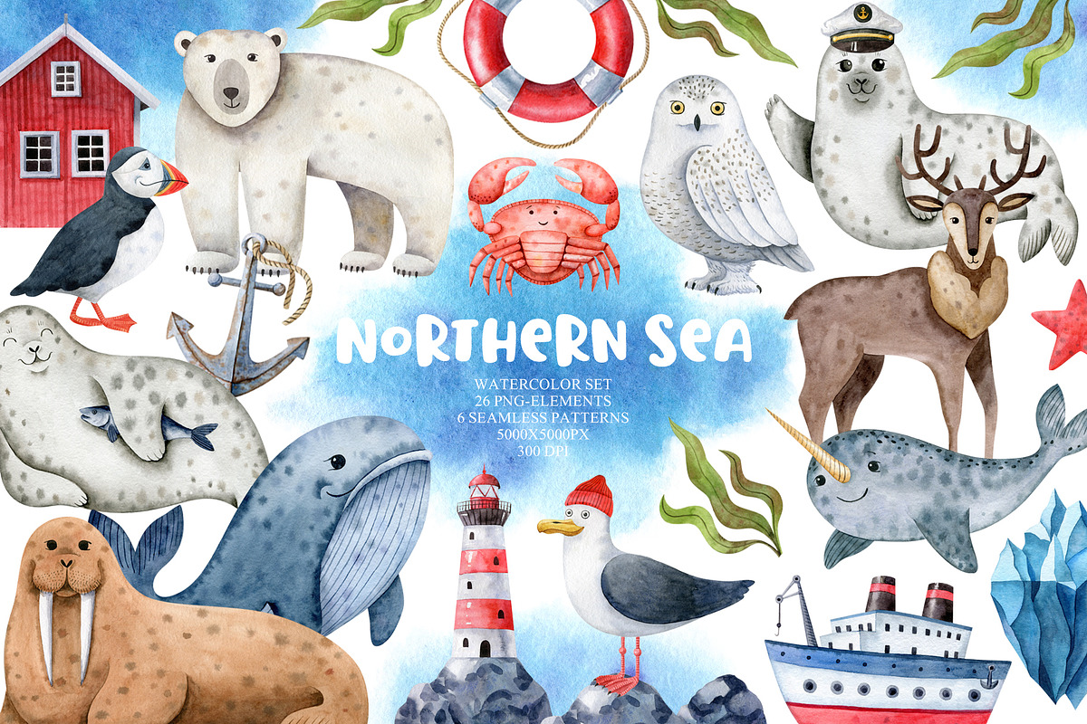 Northern Sea Watercolor Set, an Animal Illustration by Natalia Fedorova (Photo 1 of 16)