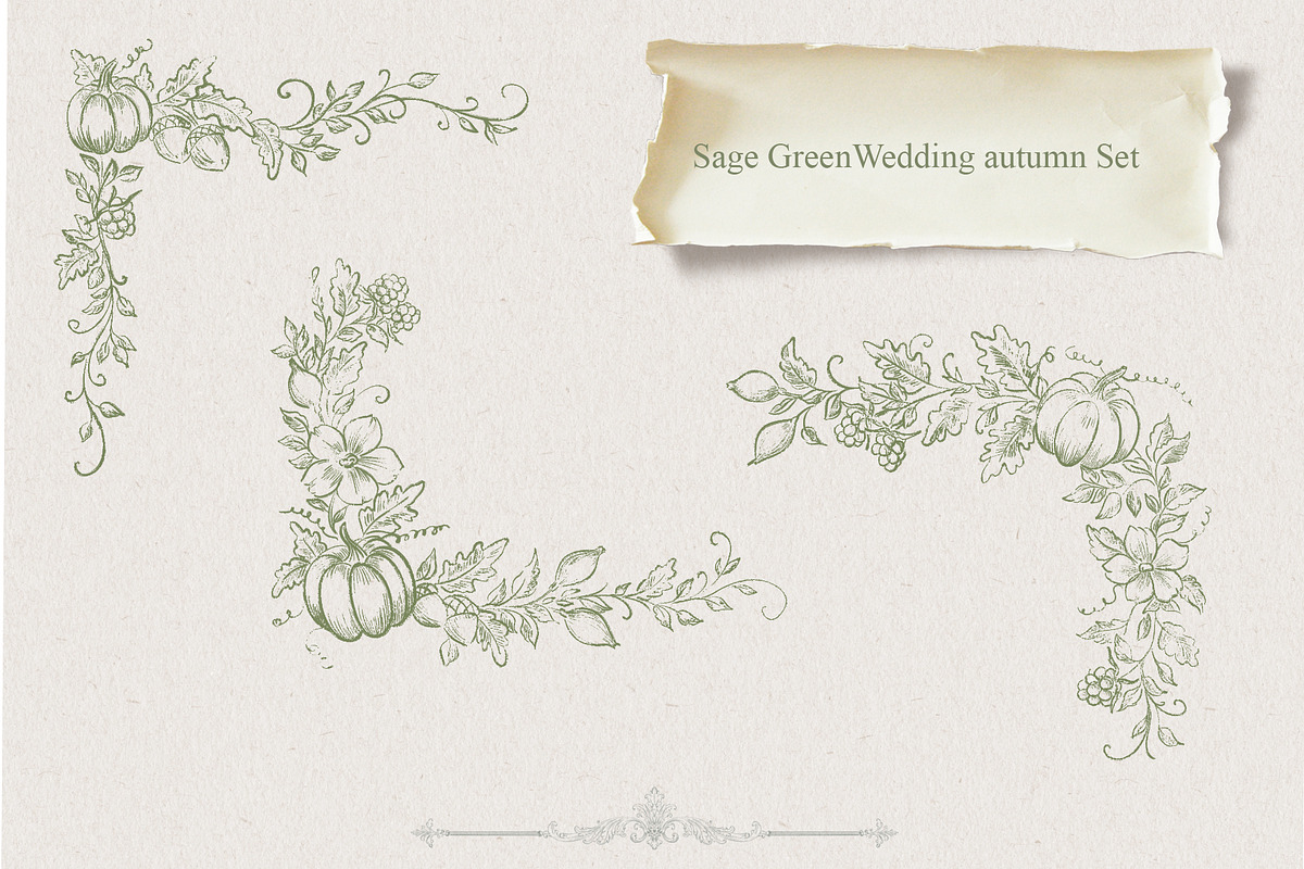 Autumn Botanical Sage Green Set, a Seasonal Illustration by AlenaVlasko stock Market (Photo 3 of 7)