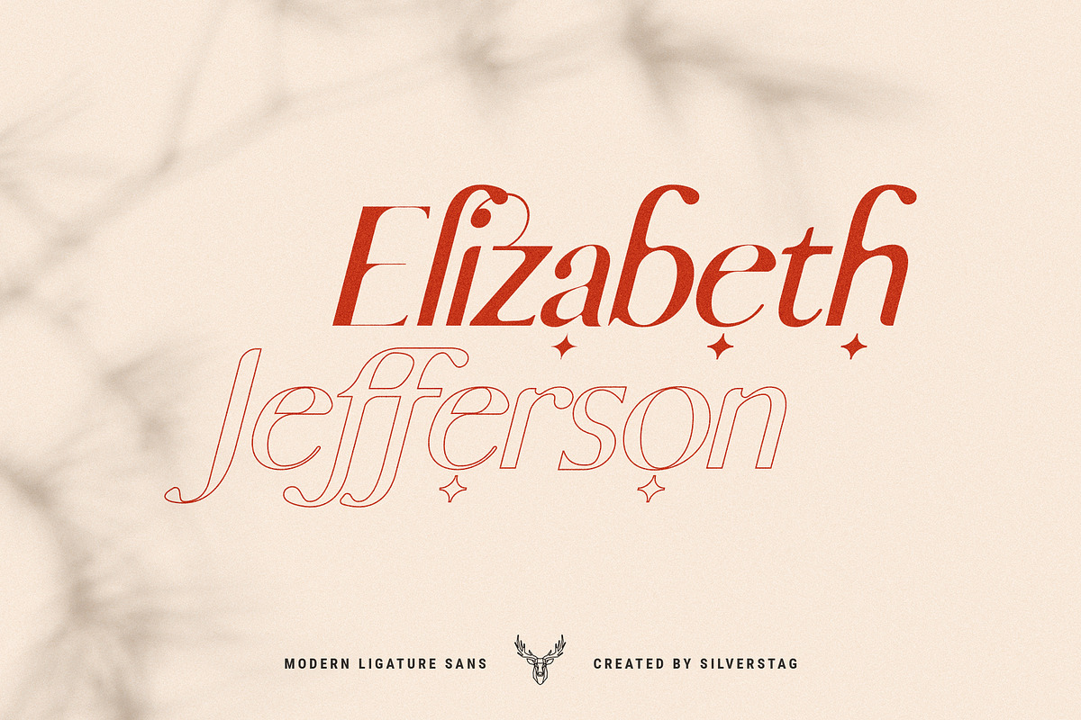 skylar - ligature sans font family, a Sans Serif Font by SilverStag Type Foundry (Photo 8 of 20)