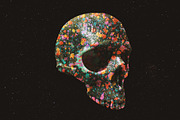 Skulls: 108 Skull Images, an Object Graphic by RuleByArt (Thumbnail 8 of 16)