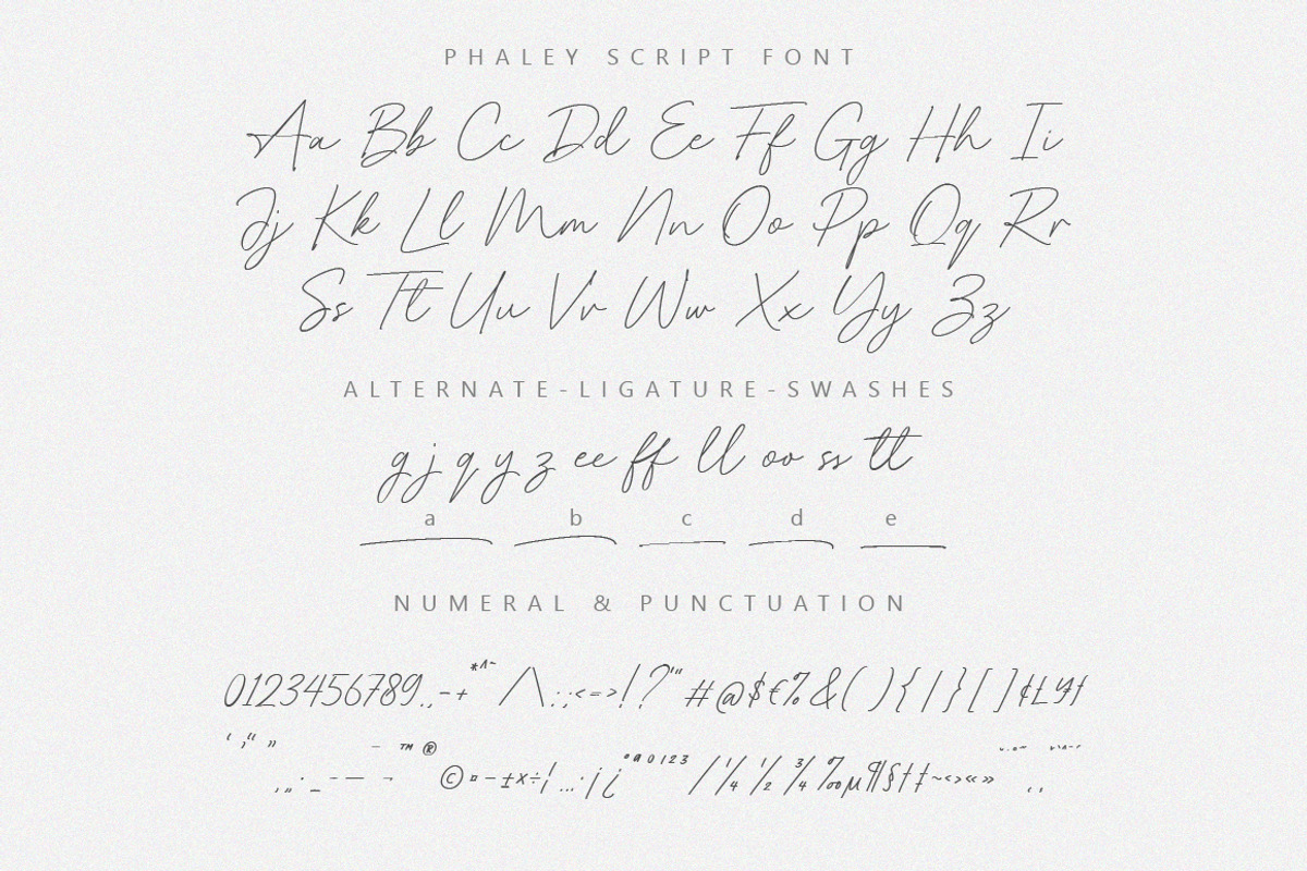 Phaley Signature Script Font, a Script Font by Typebae (Photo 7 of 8)