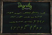 Dignity Cursive + Bonus, a Script Font by TSV Creative (Thumbnail 4 of 12)