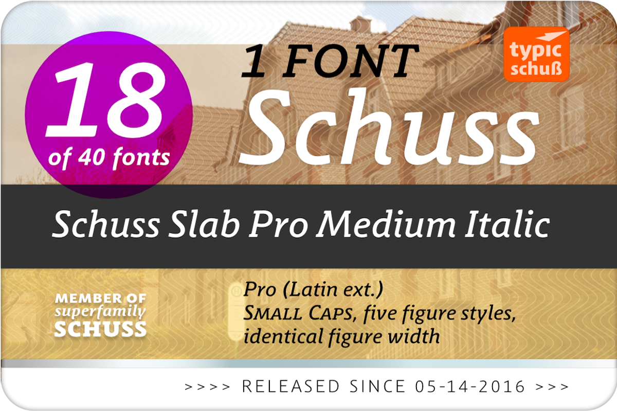 SchussSlabProMedIta No.18 (1 Font) preview 2