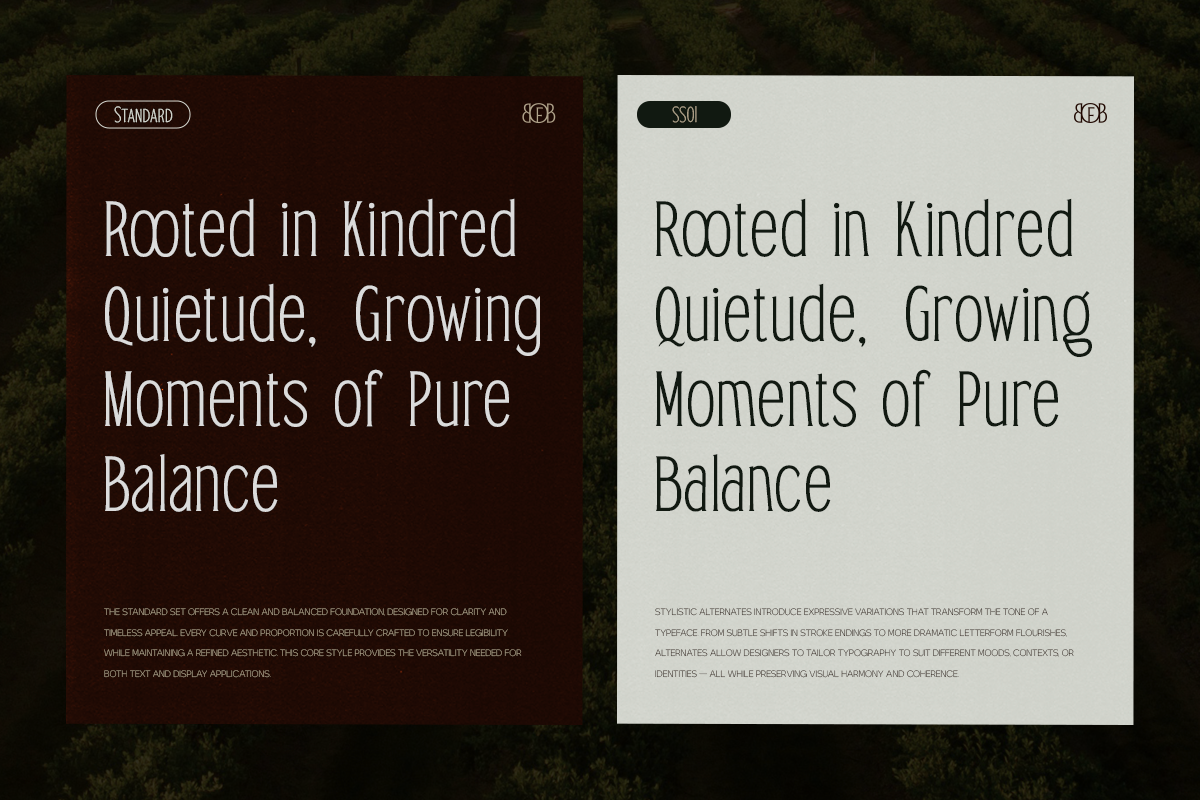 TRT Bird of Feather – Elegant Serif, a Font by truetype (Photo 14 of 15)