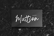 Bulgarent - Brush Script Font, a Script Font by Sronstudio (Thumbnail 2 of 12)