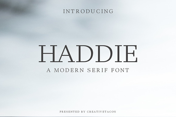 Haddie Modern Serif Font Family preview 8
