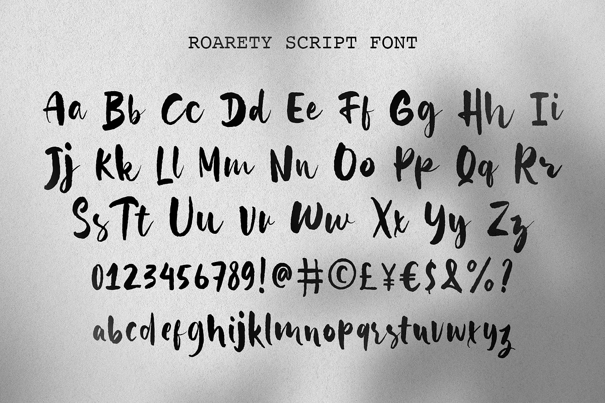 Roarety - Rough Script Font, a Font by Haps Space (Photo 7 of 8)