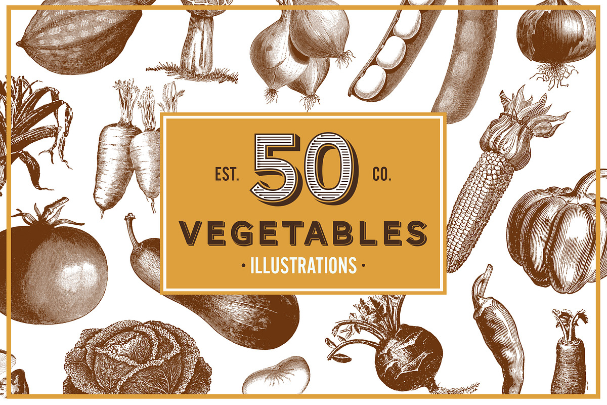 Vintage Illustrations - Free Update, an Animal Illustration by hypegraphic (Photo 9 of 12)