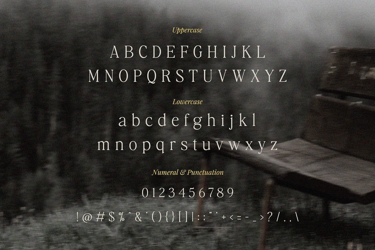 Dreaming – Elegant Chic Serif, a Serif Font by BrandSemut (Photo 10 of 10)
