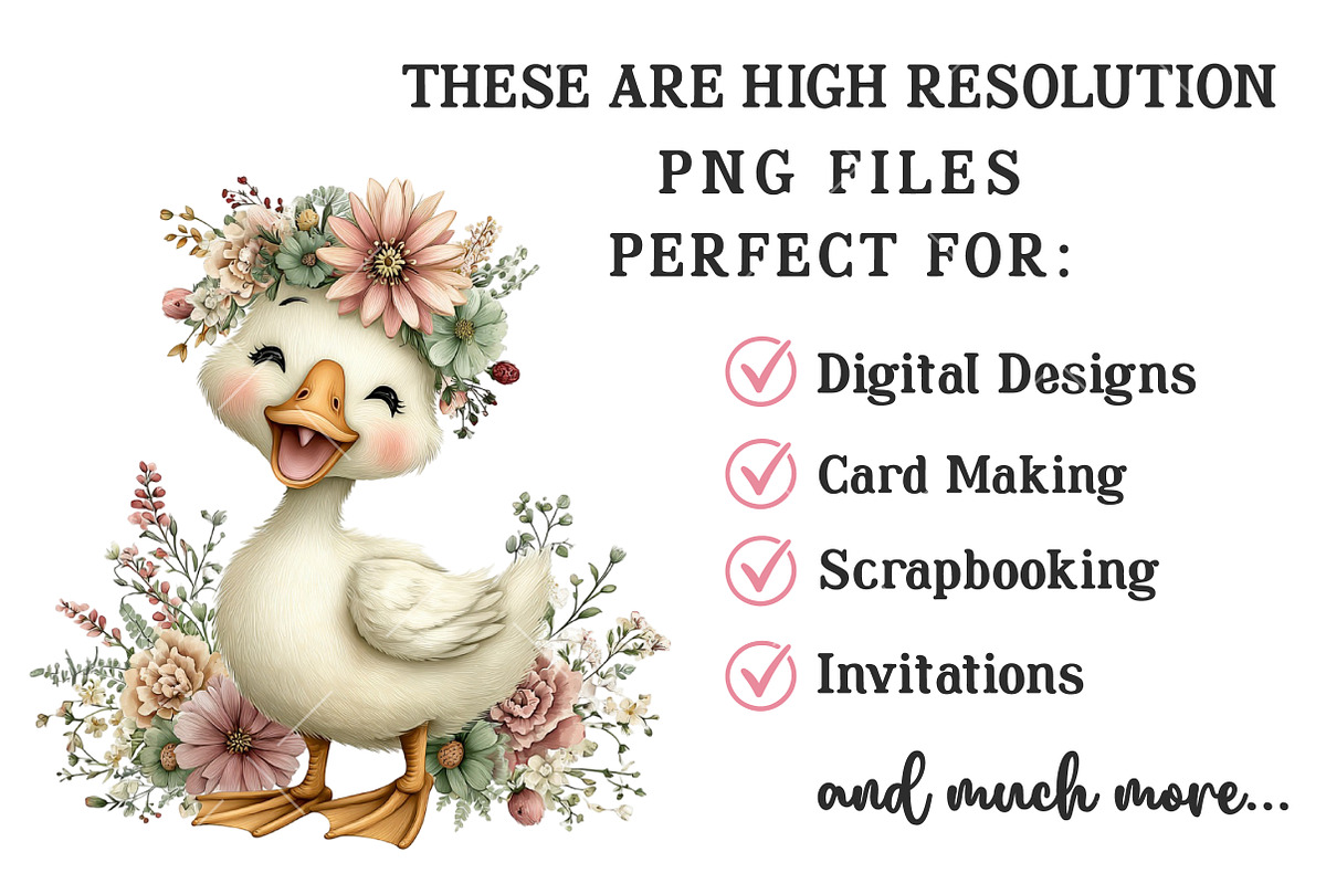 Whimsical Summer Goose Clipart, an Illustration by OK Design (Photo 4 of 6)