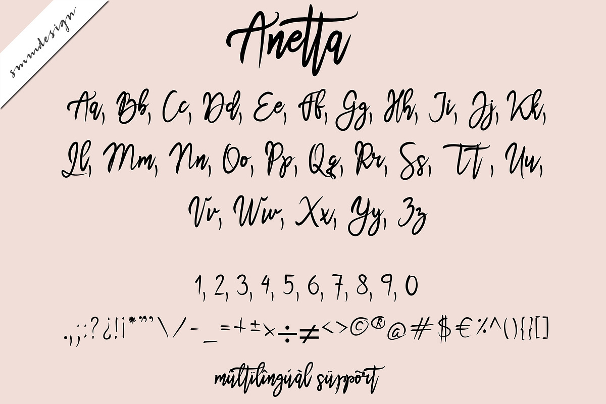 Anetta Handwritten Script Font preview 2