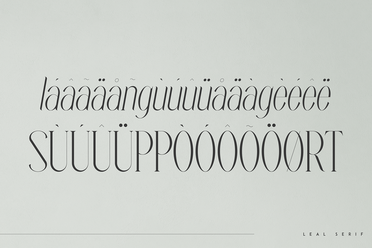 Leal typeface - regular & italic, a Serif Font by Only Fonts (Photo 9 of 10)