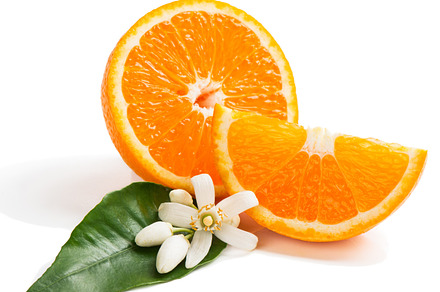 Orange fruit and blossom