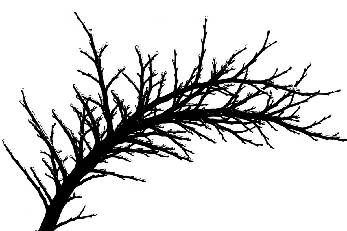 Winter Snow Silhouettes feature, an Illustration by Amazin_art (Photo 37 of 42)