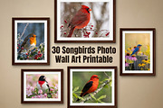 30 Songbirds Photo WallArt Printable, an Animal Photo by Image for Sale (Thumbnail 1 of 4)