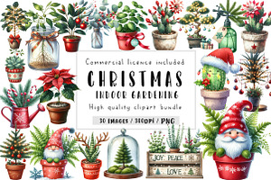 Christmas Indoor Gardening Clipart, an Illustration by CreationArt