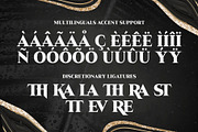 Rawle - Serif Classic Font, a Serif Font by Drizy (Thumbnail 9 of 10)