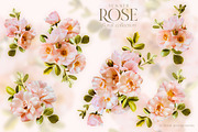 Summer Wild Rose Pink Florals, an Object Graphic by Eclectic Anthology (Thumbnail 5 of 10)