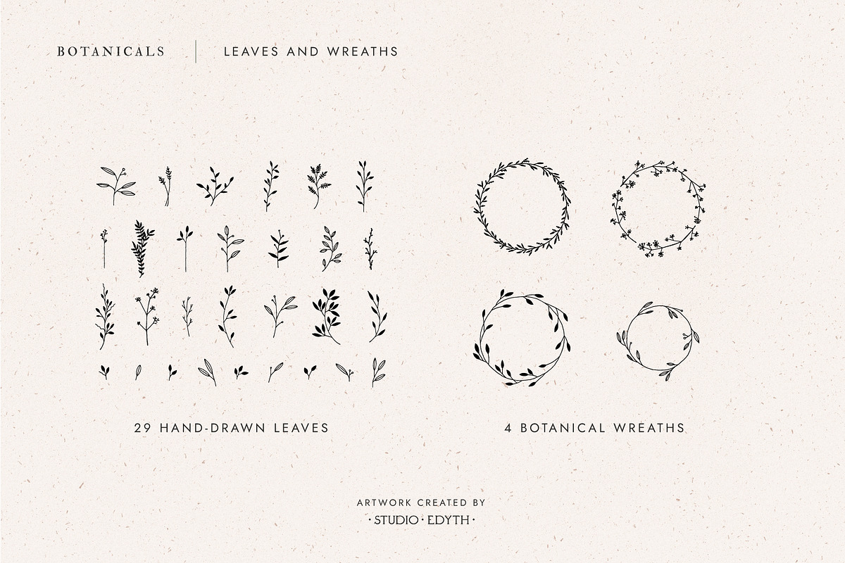 Botanical Illustration Bundle, an Illustration by Studio Edyth (Photo 2 of 8)