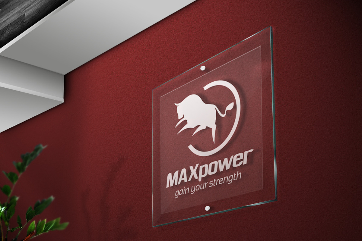 Max Power Logo Template, a Branding & Logo Template by GladicMonster (Photo 8 of 10)