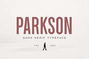 Parkson Sans Serif - 18 Fonts, a Sans Serif Font by Greg Nicholls (Thumbnail 1 of 9)