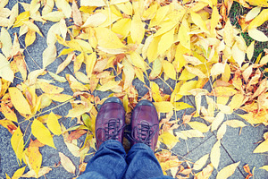 Shoes on yeallow leaves at autumn, a Nature Photo by BOOCYS
