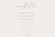 Rosabelle A Modern Script Font, a Script Font by Prestige Artsy Studio (Thumbnail 9 of 9)